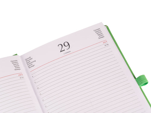 Agenda giornaliera 2026 11x17 Colourbook