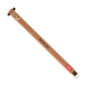 Penna Gel Cancellabile Teddy Bear "Dream Big" - Erasable Pen LEGAMI