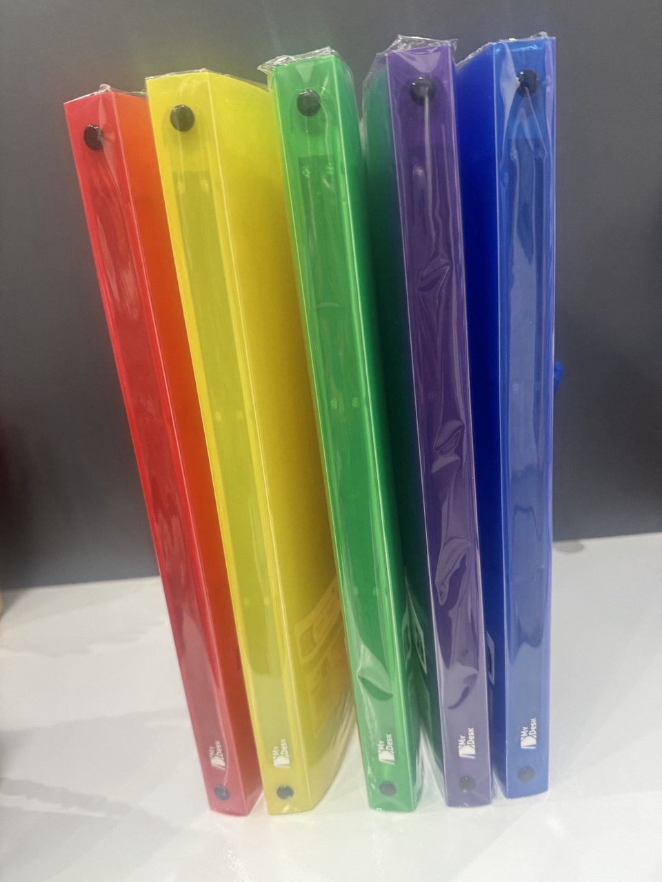 RIPLAST RACCOGLITORI FLUO MY DESK ANELLO 30