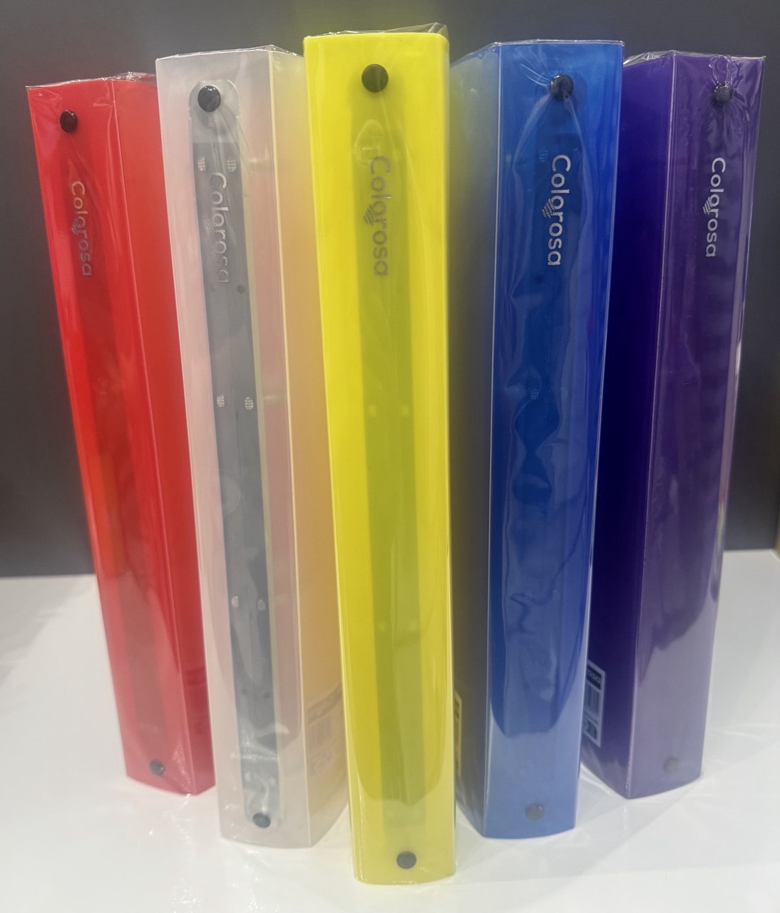 RIPLAST RACCOGLITORE COLOROSA